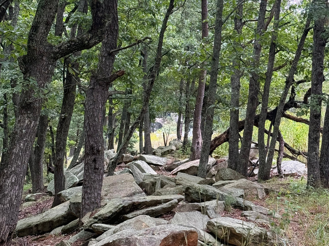 Pilot Mountain State Park-Pinnacle必去景点