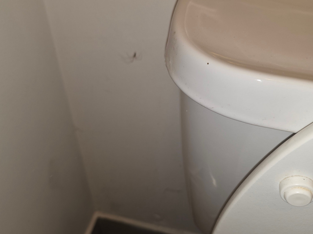 耶罗小屋食宿酒店主图