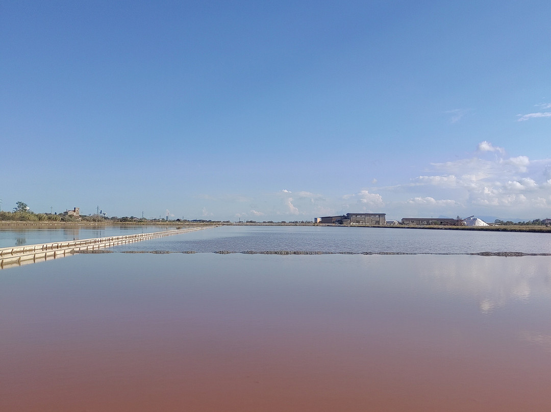 Parco della Salina di Cervia-切尔维亚必去景点