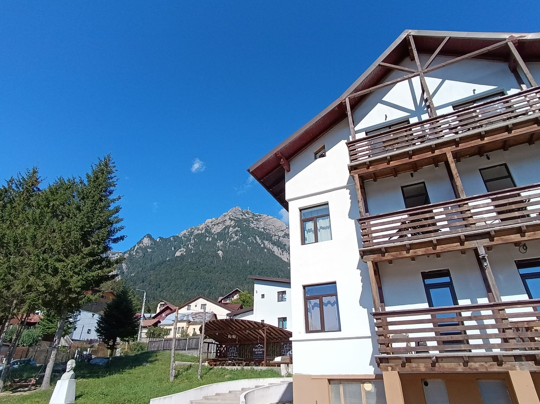 Vila Panoramic Busteni