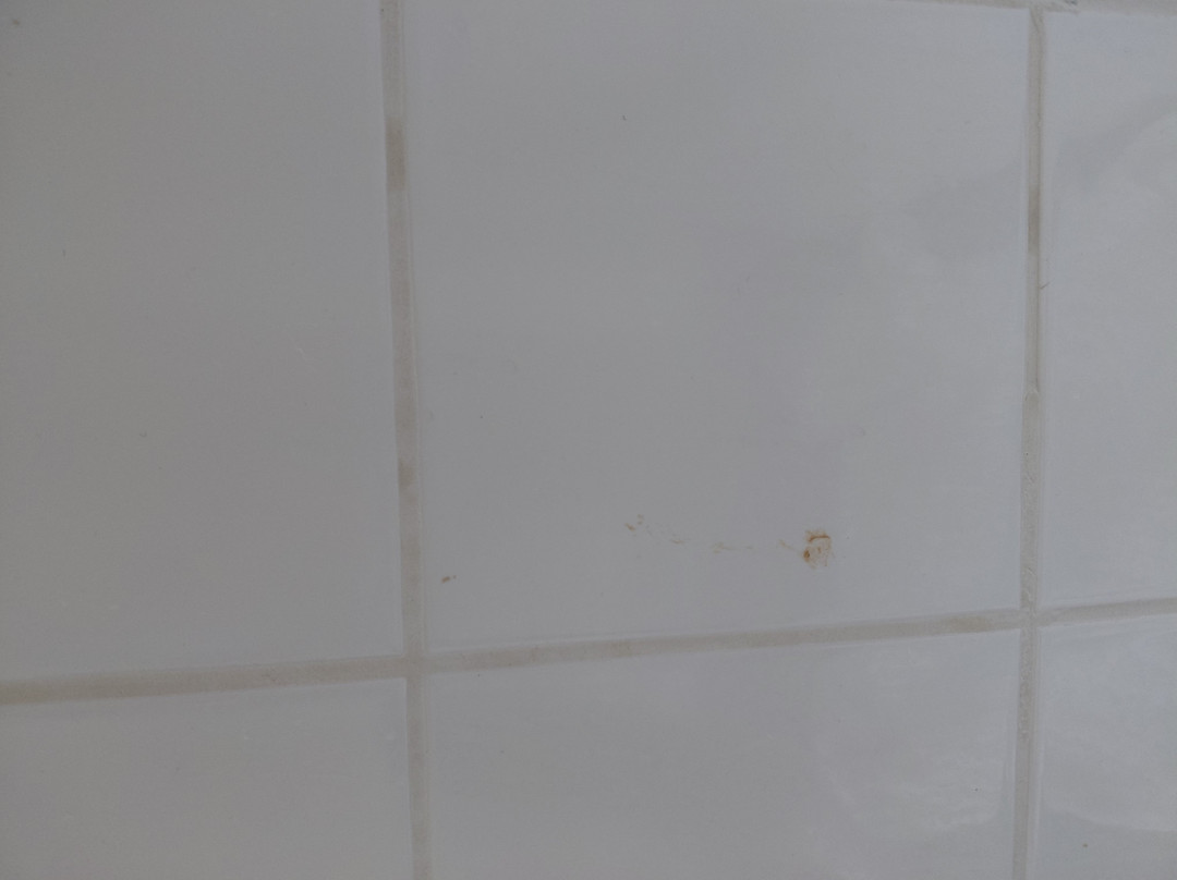 马斯顿白牡鹿酒店主图