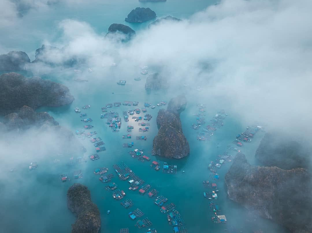 Cua Van Floating Village-下龙湾必去景点