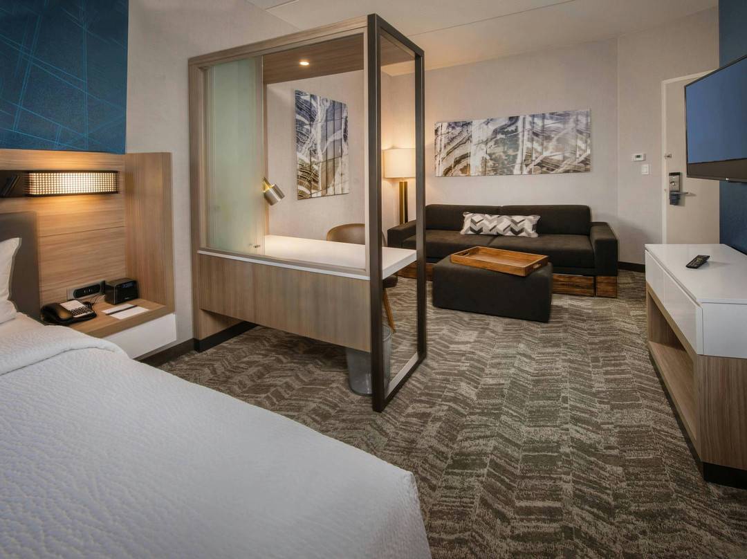 盖恩斯维尔干草市场SpringHill Suites酒店主图