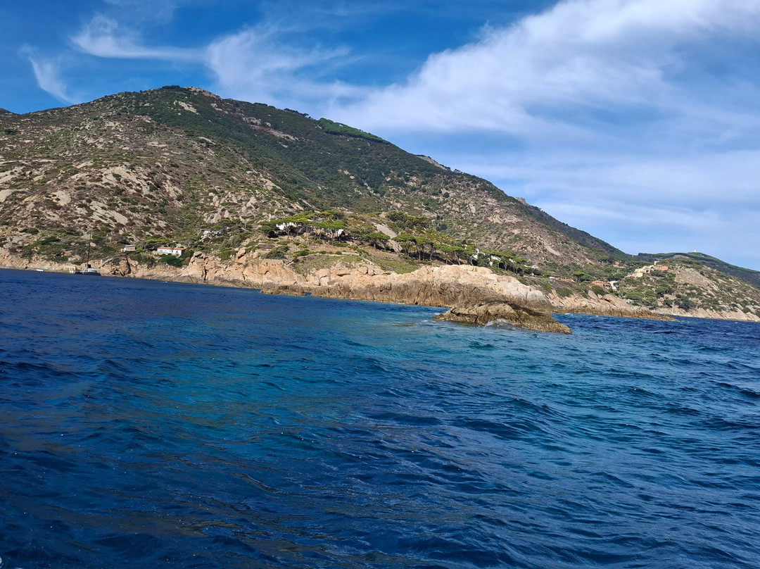 Max Shark Diving-Isola del Giglio必去景点
