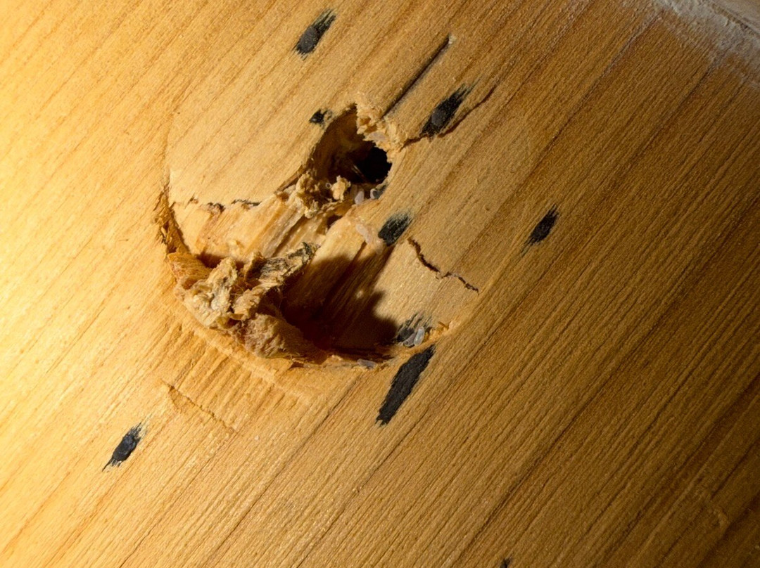 布伦尼格艺术与自然爱好者之家主图