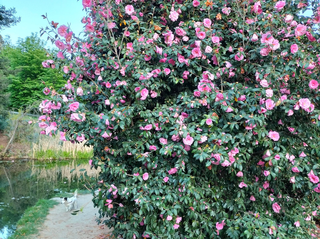 Parco della Burcina-Pollone必去景点