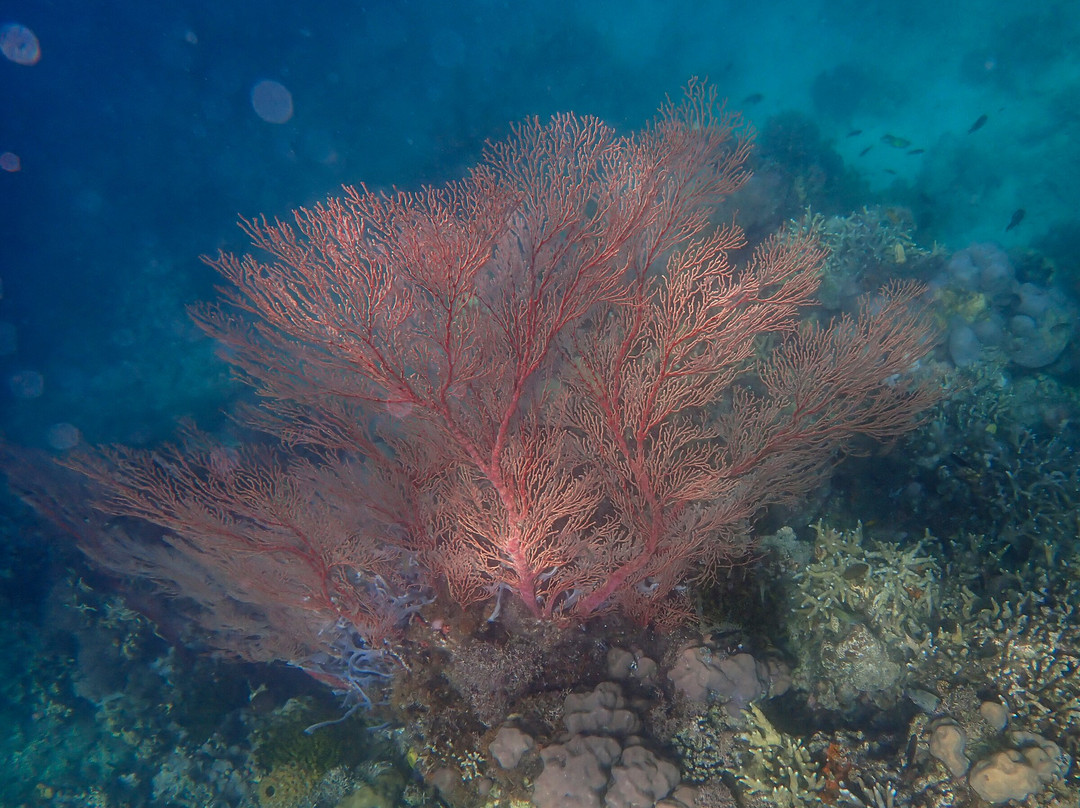 kalawai adventure-Waigeo Island必去景点