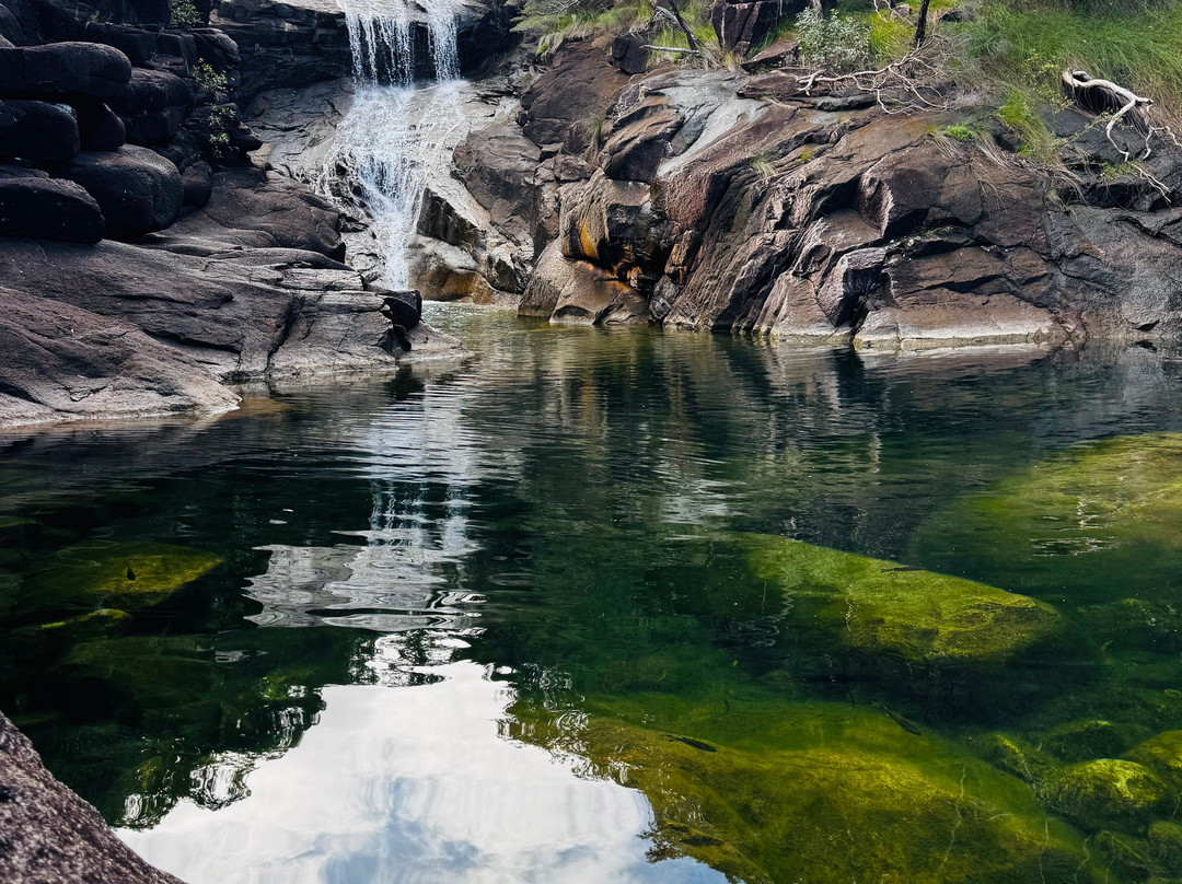 Hinchinbrook Island Cruises-卡德威尔必去景点