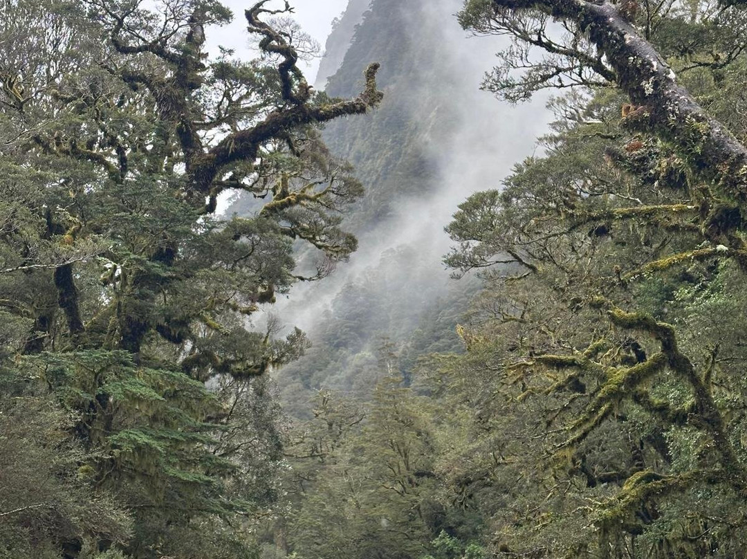 Fiordland Expeditions - Doubtful Sound Overnight Cruises & Multi Day Charters-马纳普里必去景点