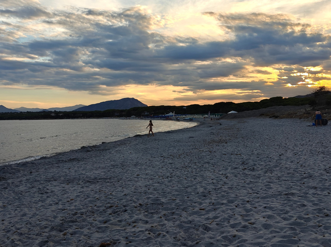 Spiaggia Cala Ginepro e Sa Curcurica-奥罗塞必去景点