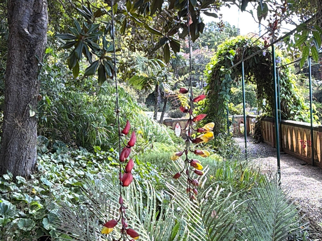 Madeira Botanical Garden-沙尔必去景点