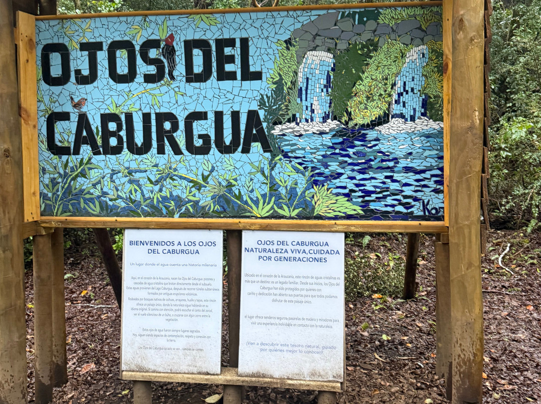 Parque Ojos del Caburgua-普孔必去景点