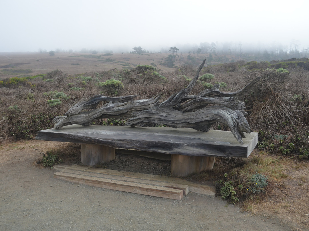Fiscalini Ranch Preserve-坎布里亚必去景点