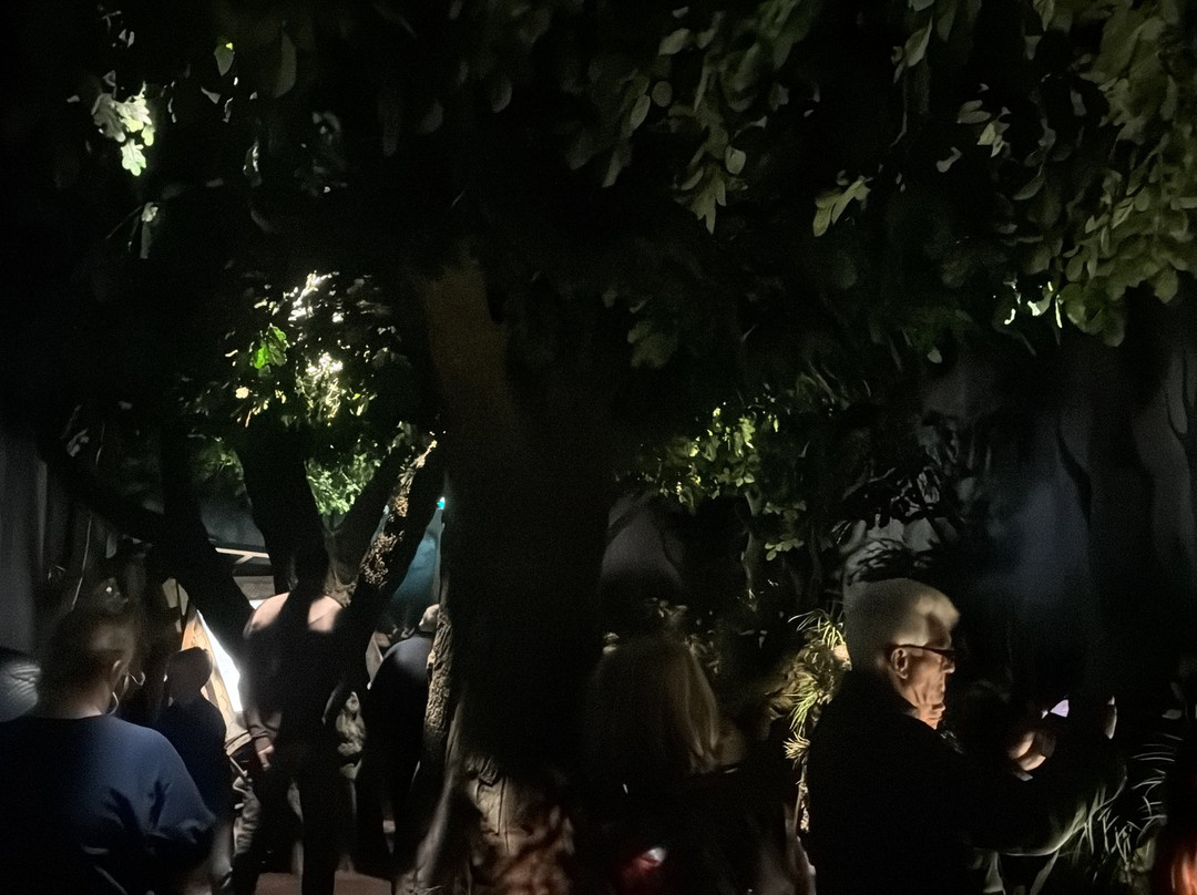 Deutschlandmuseum