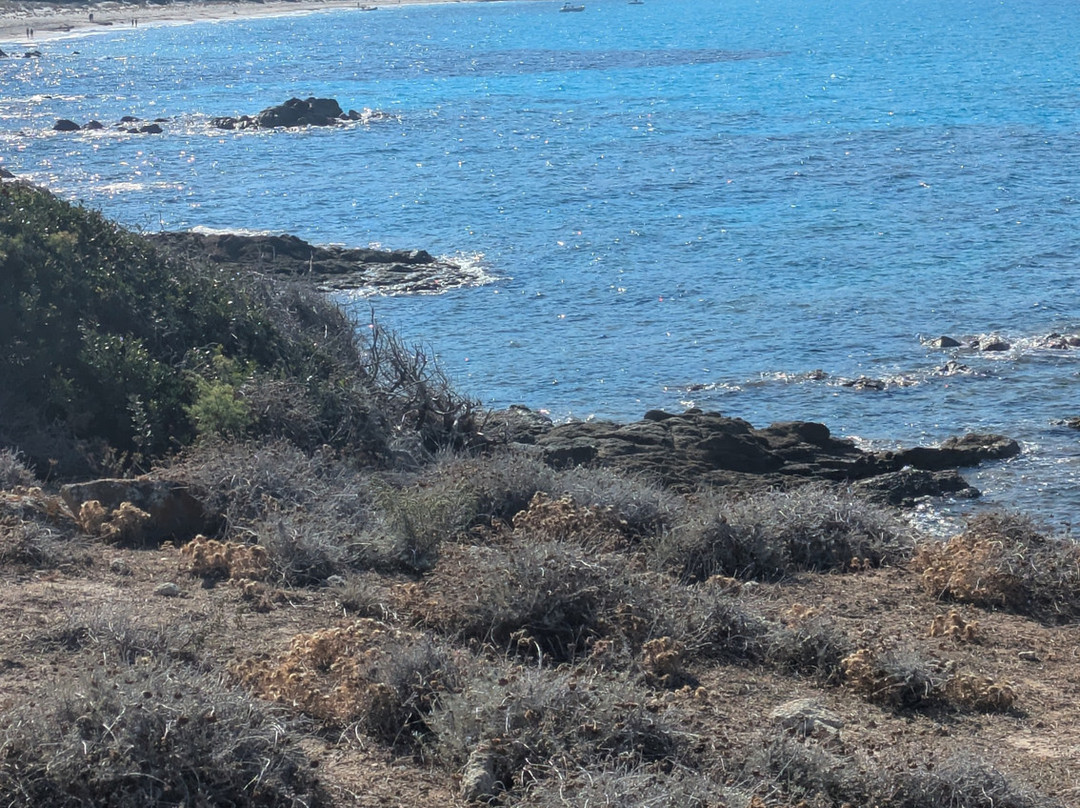 Saleccia Off Road-Saint Florent必去景点