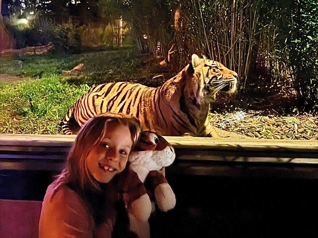 Safari Lodges At West Midlands Safari Park主图
