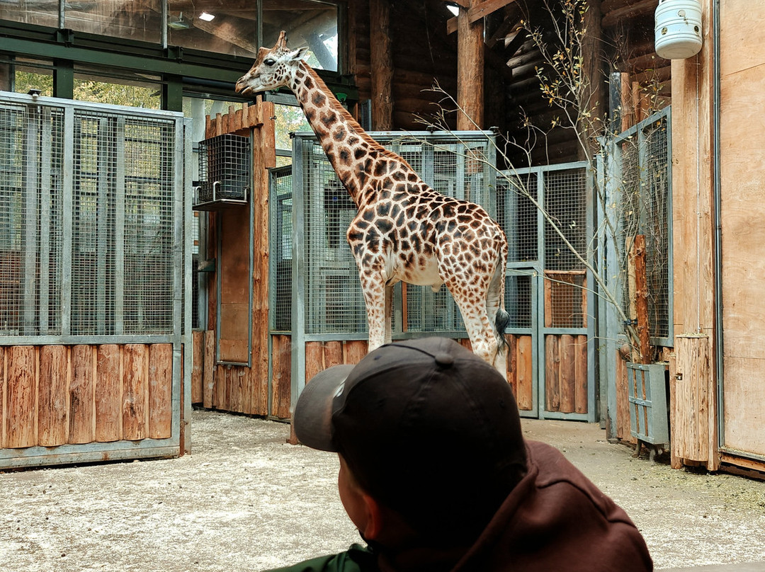 Riga Zoo-里加必去景点