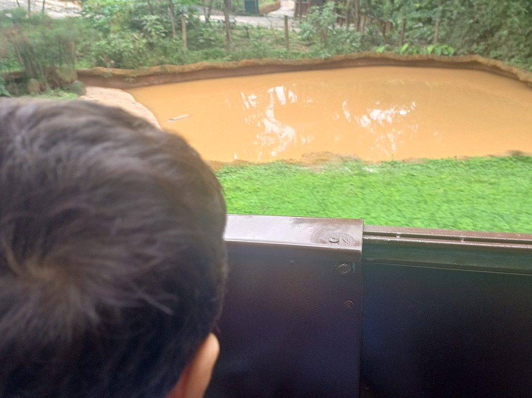Zoologico De Sao Paulo-圣保罗必去景点