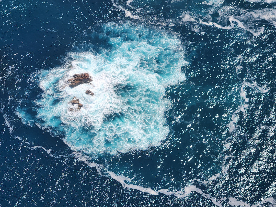 Phillip island helicopter tours-Newhaven必去景点