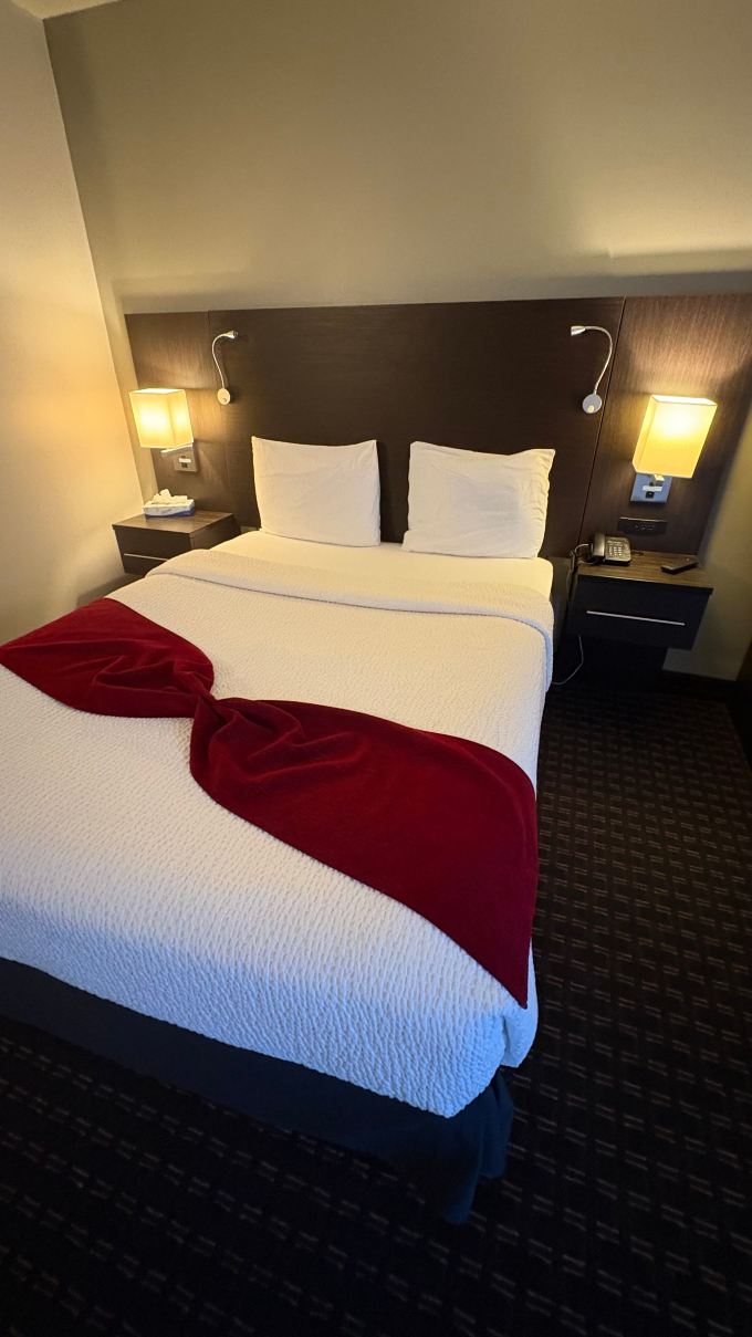 Hotel Le Principal-客卧