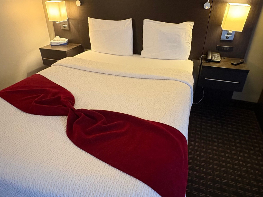 Hotel Le Principal主图