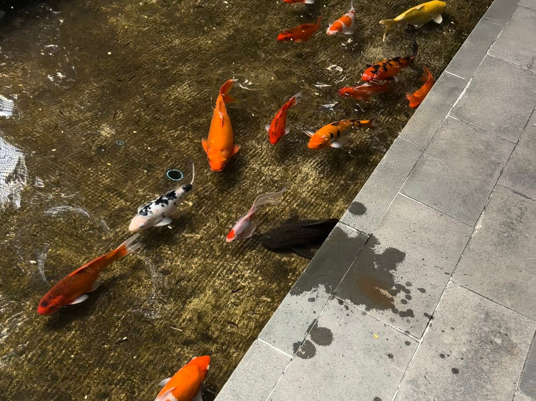 河流公园贾耶之家酒店主图