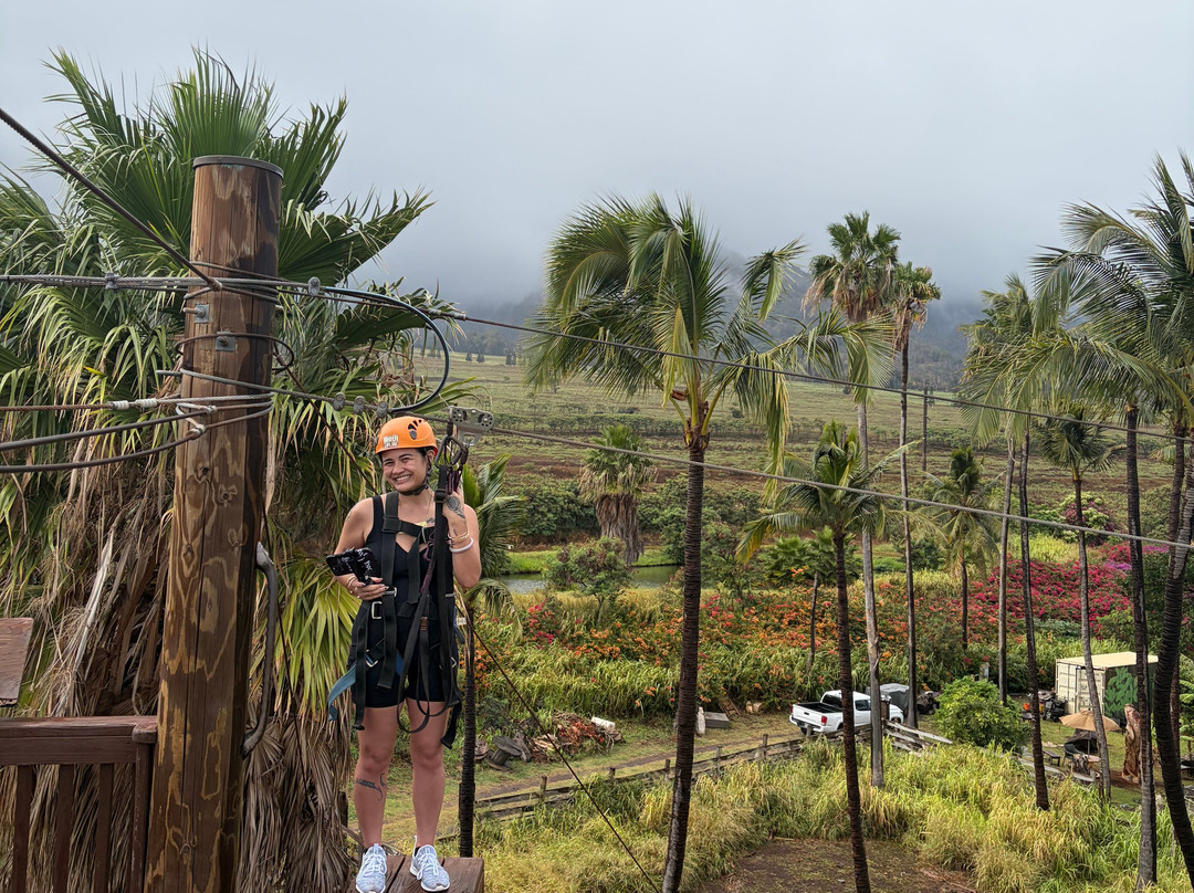 Maui Zipline Company-怀露库必去景点
