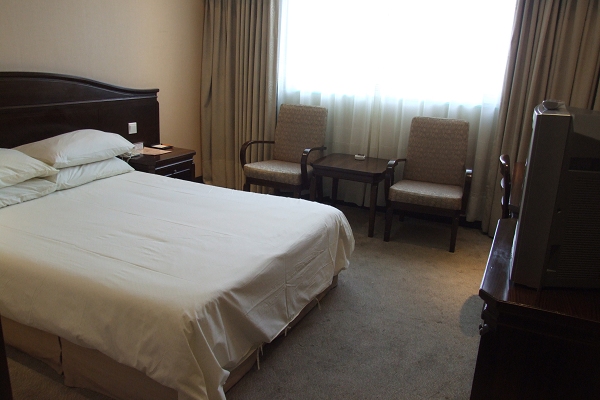 龙嘉国际机场宾馆-客卧