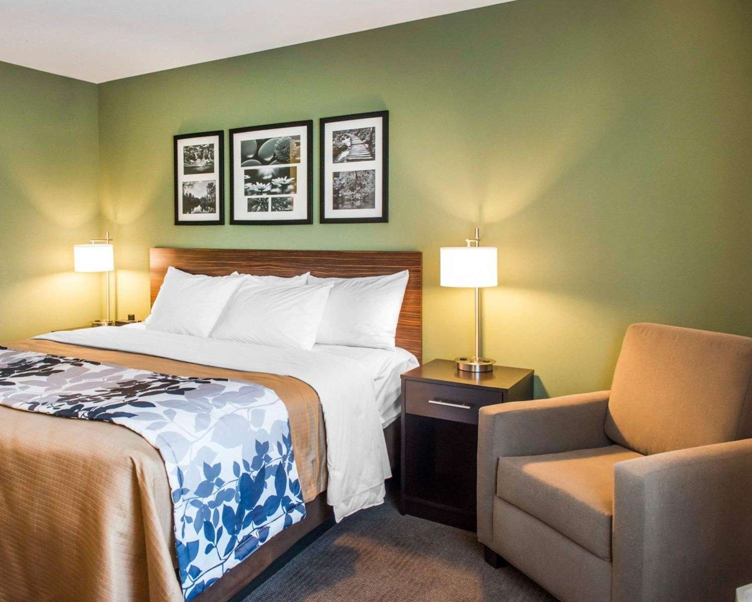 Sleep Inn & Suites Defuniak Springs - Crestview-官方