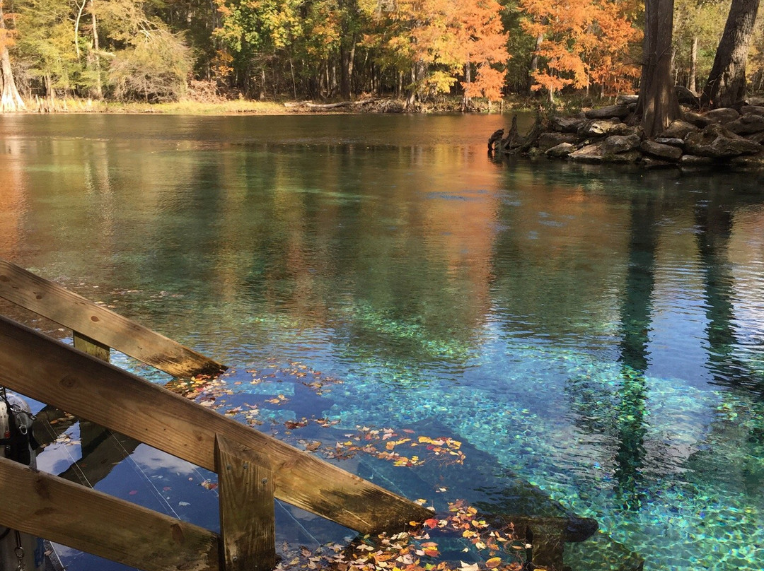Ginnie Springs