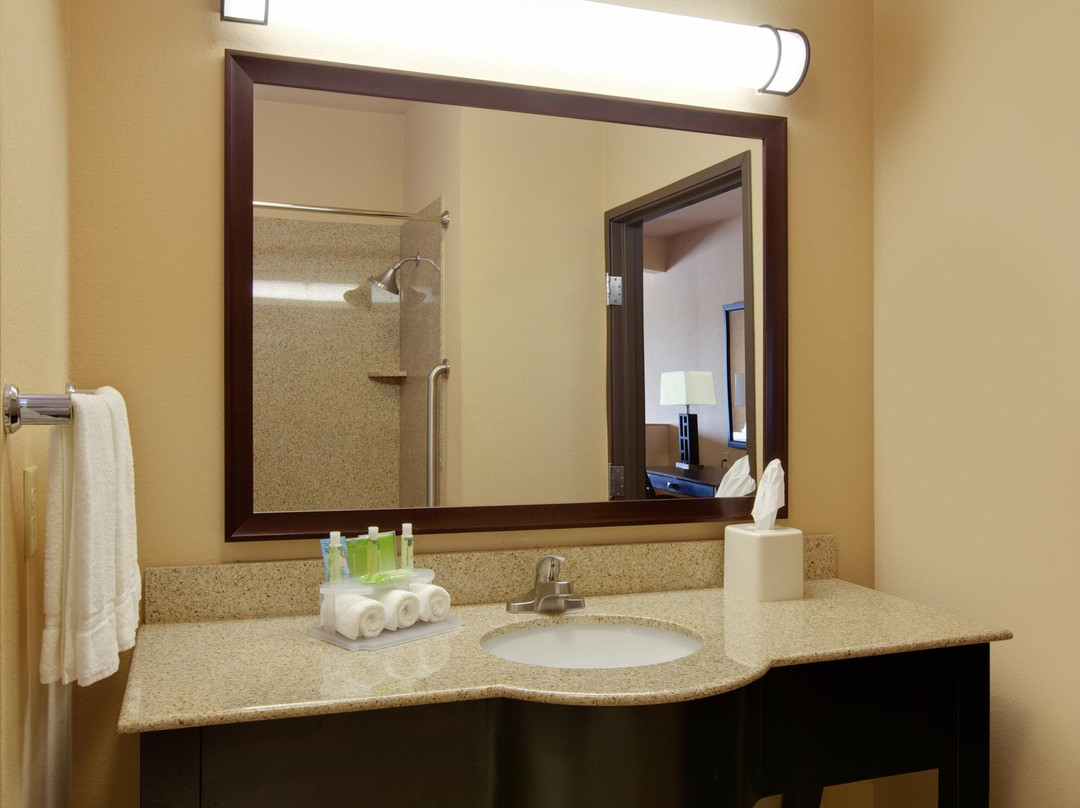 恩尼斯酒店住宿-埃尼斯快捷假日&套房酒店