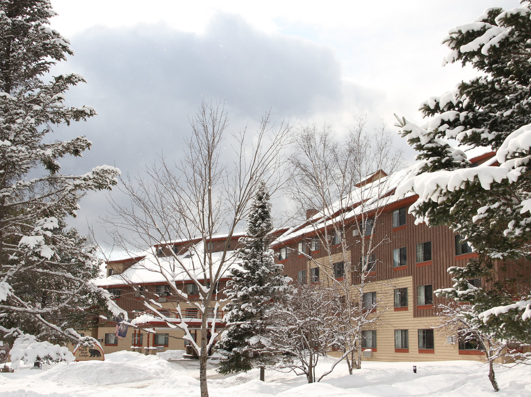 Black Bear Lodge主图