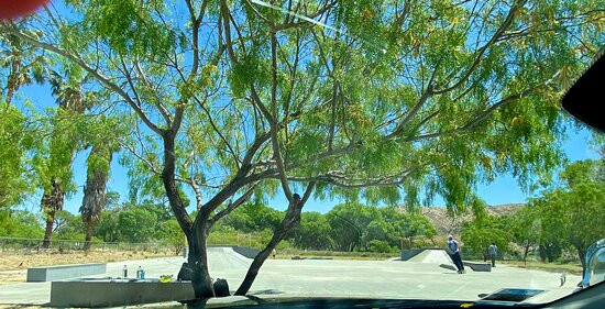 Covington Park-Morongo Valley必去景点