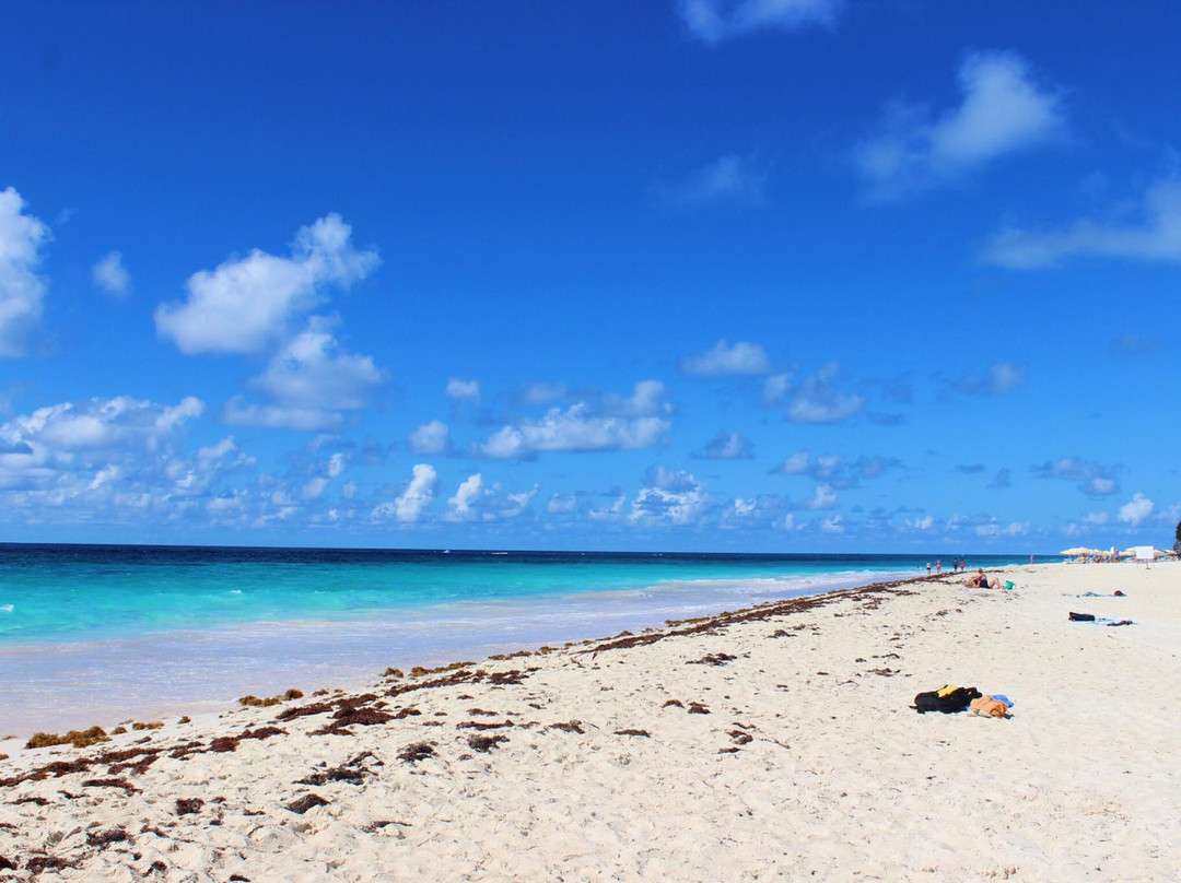 Elbow Beach-佩吉特教区必去景点