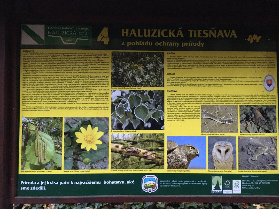 Haluzicka Tiesnava