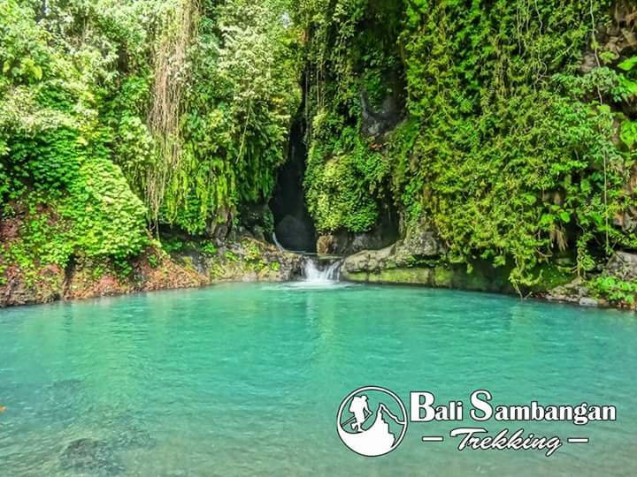 Pucak Sari Waterfall景点图片