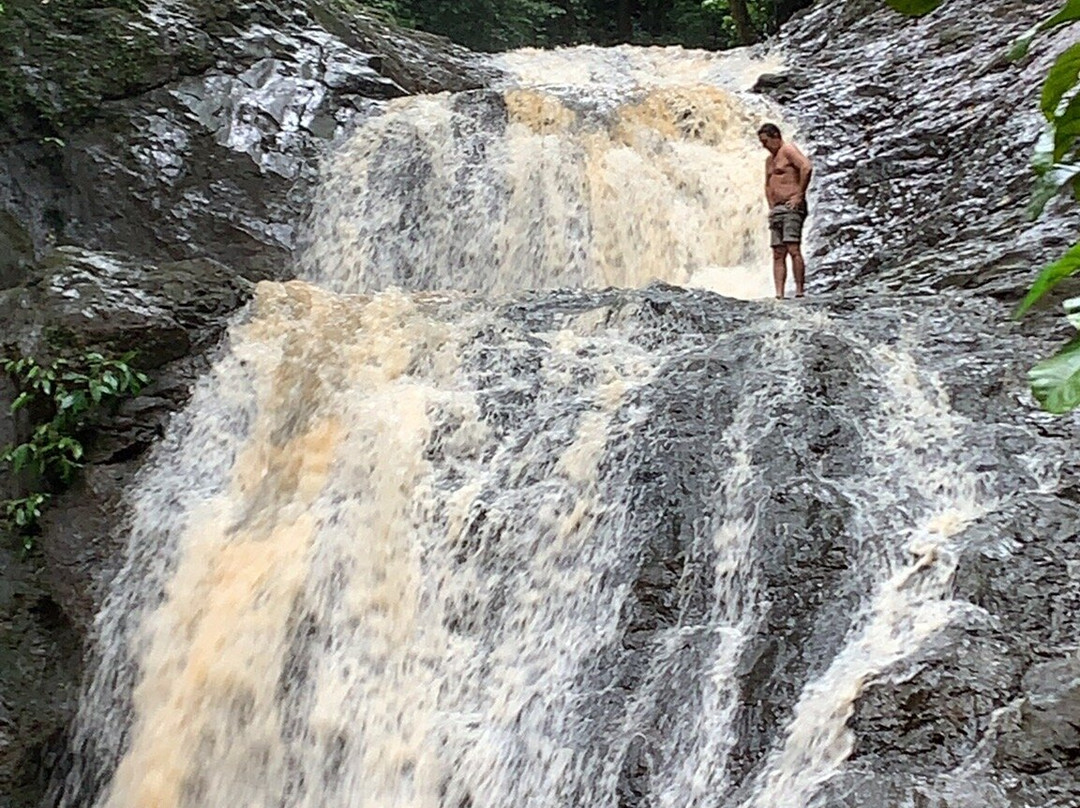 Las Piñas–Parañaque Critical Habitat and Ecotourism Area