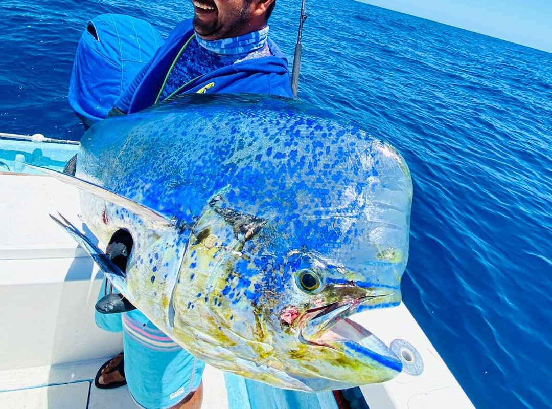 Fernando Picha's Sport Fishing & Tours景点图片