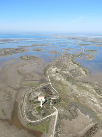 Camargue Confidentielle : Beauduc