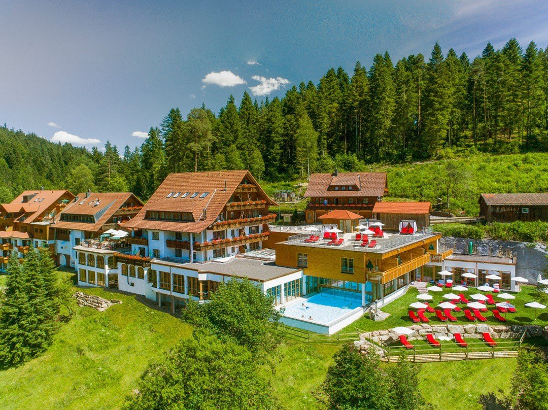 巴登-符腾堡州酒店住宿-Forsthaus Auerhahn