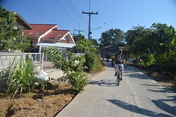 Chiang Rai Bicycle Tour景点图片