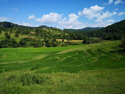 Jungle King Trekking Guide Services-格劳必去景点