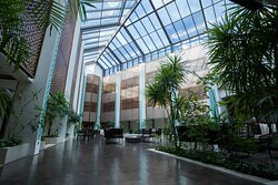 Premedion Health & Wellbeing ( Spa )-亚历山大必去景点