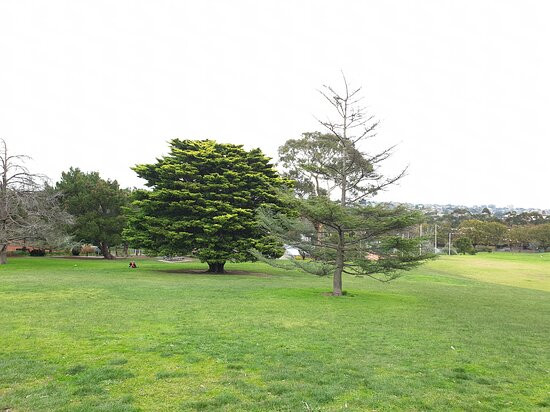 Anderson Park景点图片