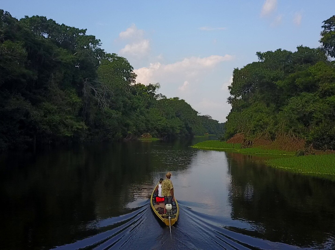 Conexion-Amazonas Puerto Nariño景点图片