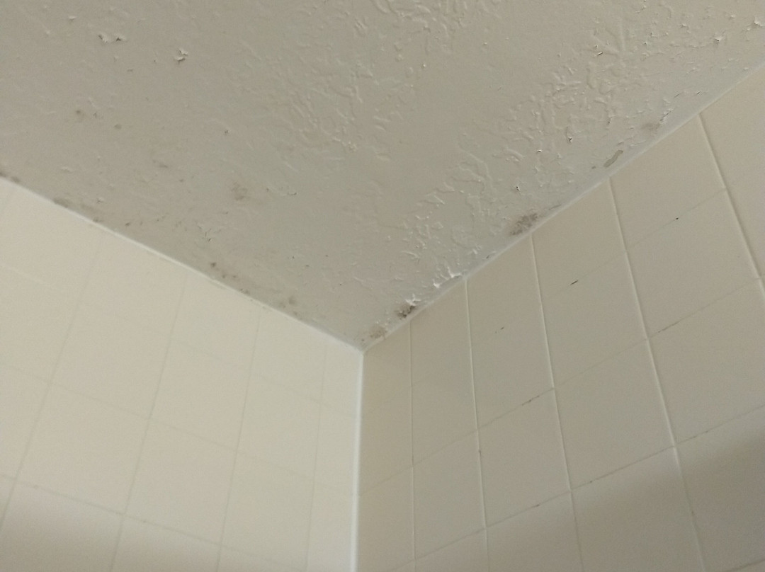 La Quinta Inn & Suites by Wyndham Salt Lake City - Layton主图