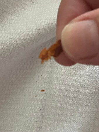 Hotel Gut Altona主图