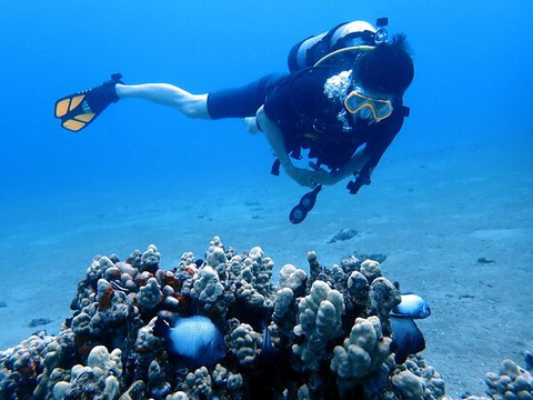 Destination Diving And Snorkel Maui-拉海纳必去景点