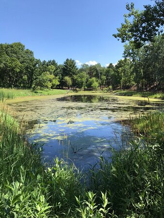 Lake Elmo Park Reserve-Lake Elmo必去景点