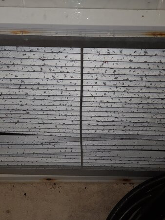 Surestay Plus By Best Western Bettendorf主图